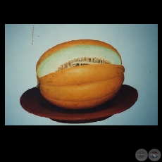 MELÓN - Óleo de SEBASTIÁN DÍAZ